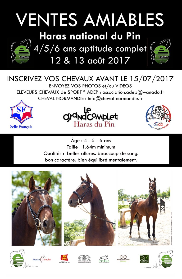 40X30 ventes imp 2017 revu