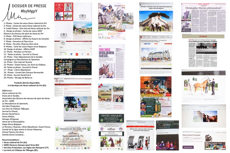 Revue de Presse MgpY