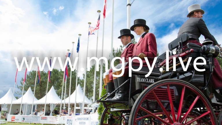 ChesterWeber USA SAUd 72-26764