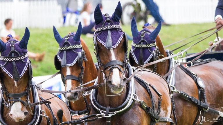 GlennGeerts BEL SAUd -26866