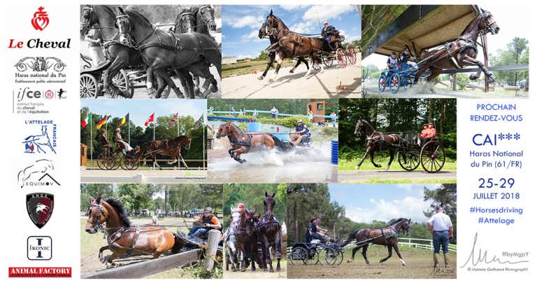 MgpY attelage 2018
