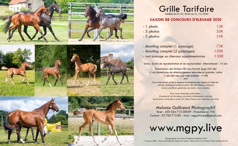 2020 grille tarifaire MgpY ELEVAGE